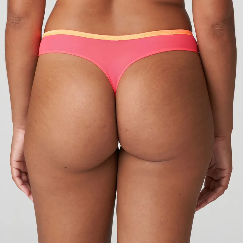 Prima Donna Devdaha Thong in Tropicana-3