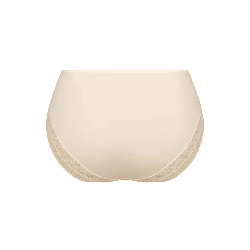Anita Mary High Waist Brief in Crystal-1