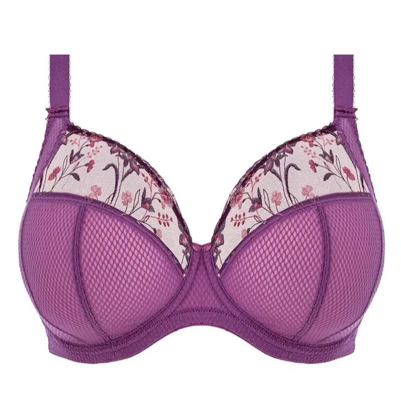 Elomi Charley Plunge Bra in Pansy