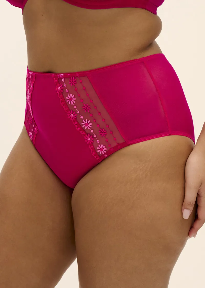 Elomi Matilda Full Brief in Hot Pink-1