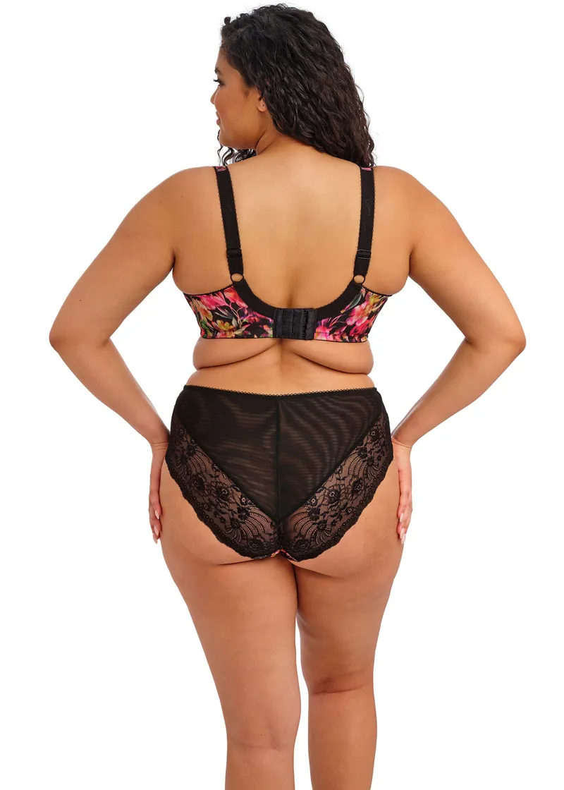 Elomi Morgan High Leg Brief in Hot House-3