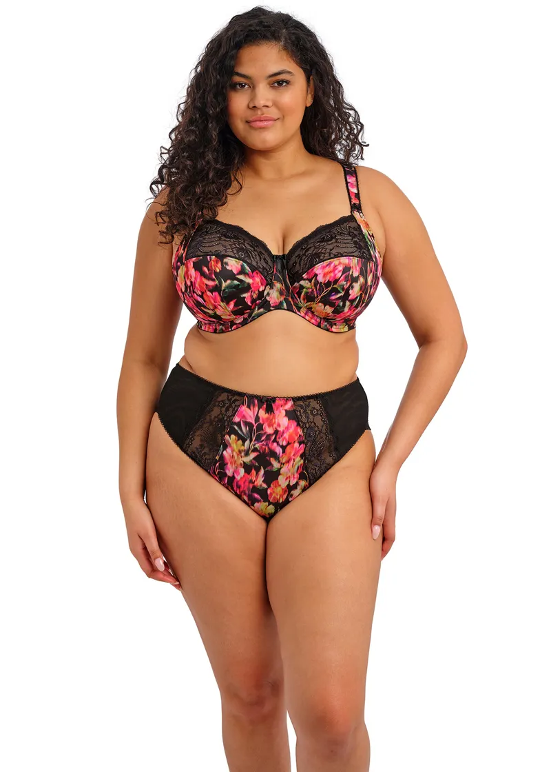 Elomi Morgan High Leg Brief in Hot House-2