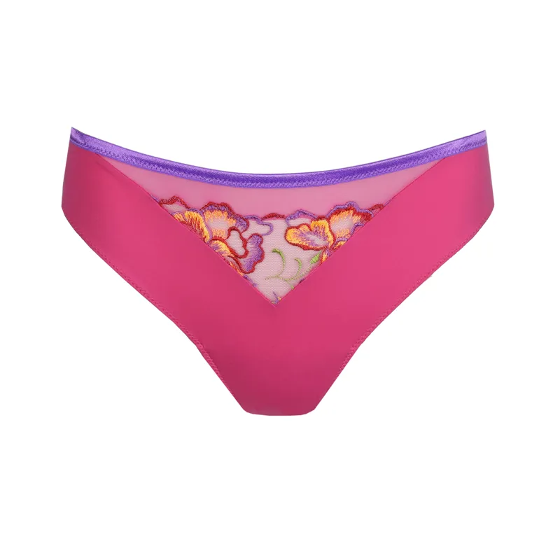 Prima Donna Devdaha Rio Brief in Very Berry