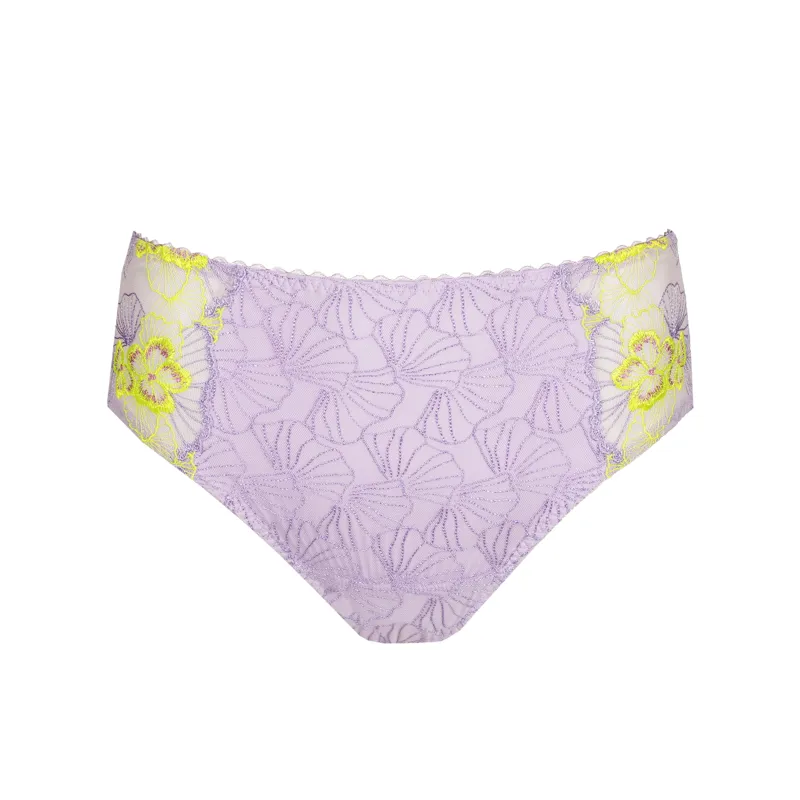Prima Donna Ixia Full Brief in Wisteria